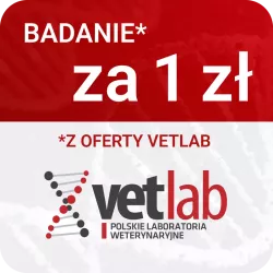 Badanie podstawowe + morfologia