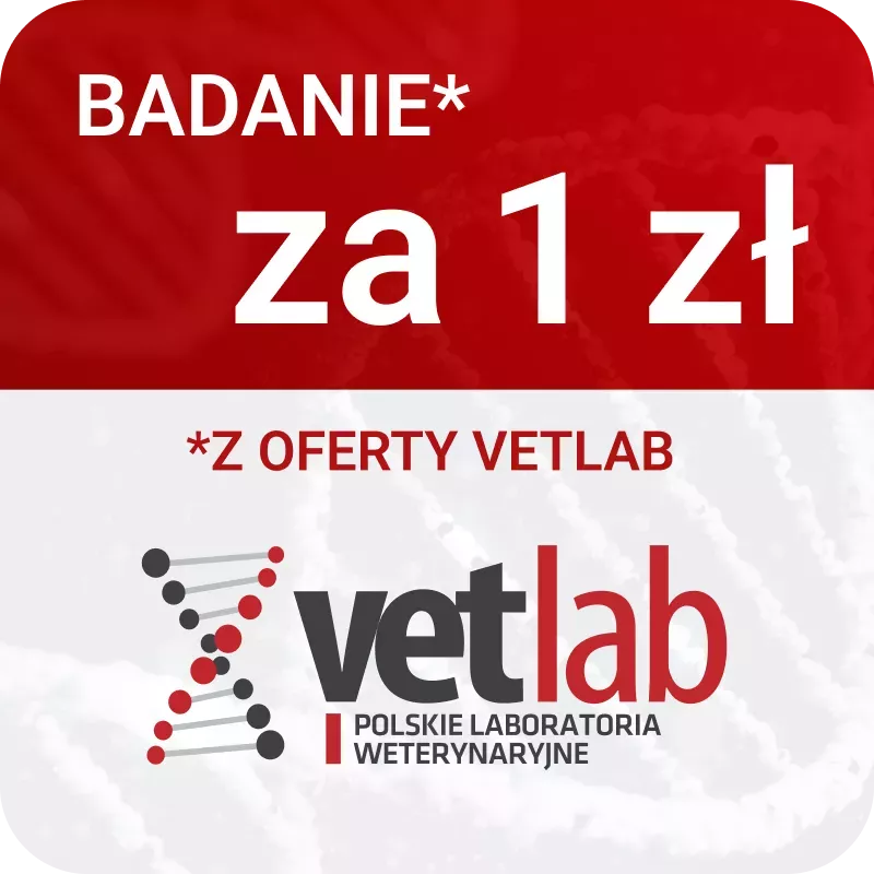 Badanie przesiewowe duże