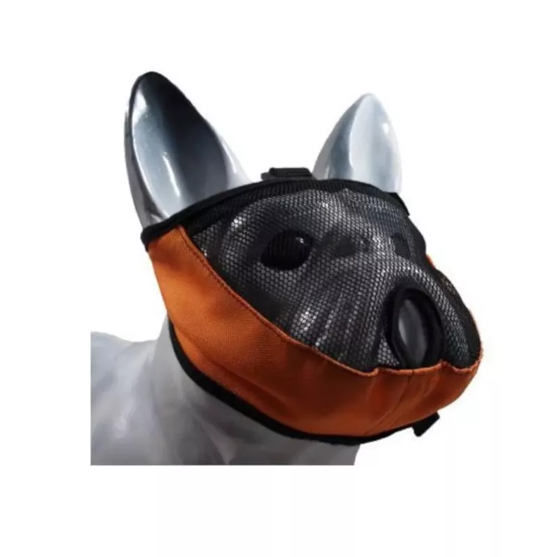 Kagańce dla psów płaskopyskich