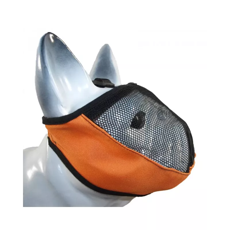 Kagańce dla psów płaskopyskich